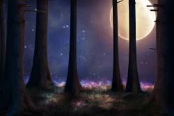 The image for Mystical Spooky Trees