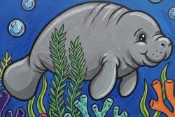 The image for NEW! Kids Manatee!