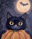 The image for NEW! Pumpkin Purrs!