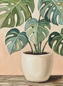 The image for NEW! Choose Your Own Colors Monstera